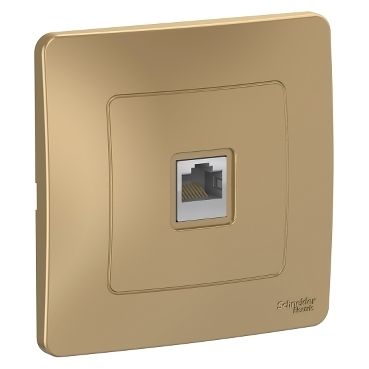 Розетки компьютерная Schneider Electric 1