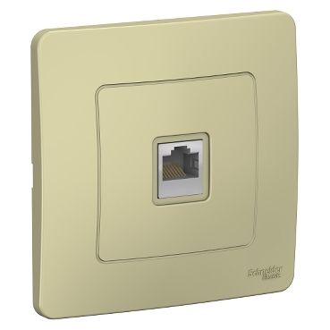 Розетки компьютерная Schneider Electric 1