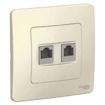 Розетки двойная Schneider Electric 1