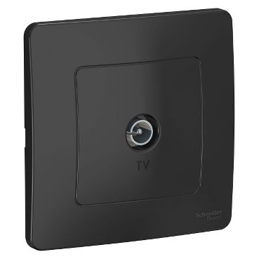 Розетка телевизионная с рамкой Schneider Electric 1